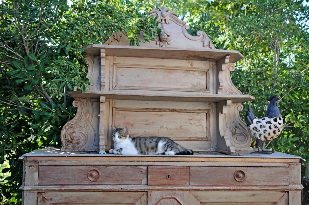 B&B La Terre Brulee Aigues-Mortes Zewnętrze zdjęcie